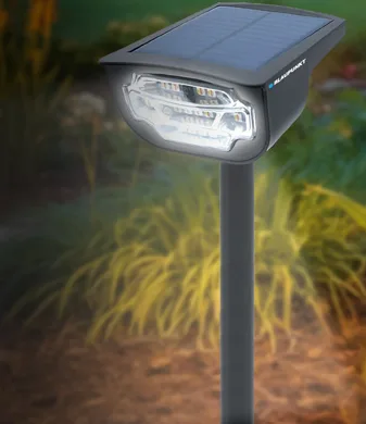 Shop Lighting